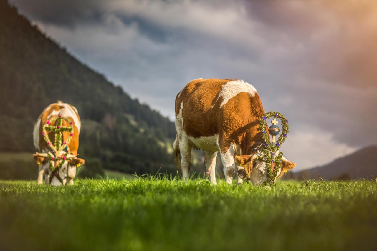 Der Anderlbauer Am See ชลีเอร์ซี ภายนอก รูปภาพ